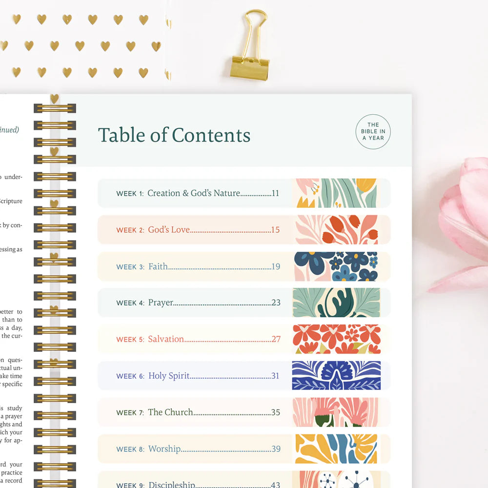 Year In The Bible The Bible 2026